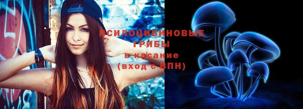 мяу мяу мука Надым