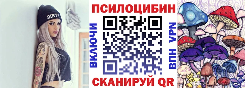 Псилоцибиновые грибы Psilocybe  Переславль-Залесский 