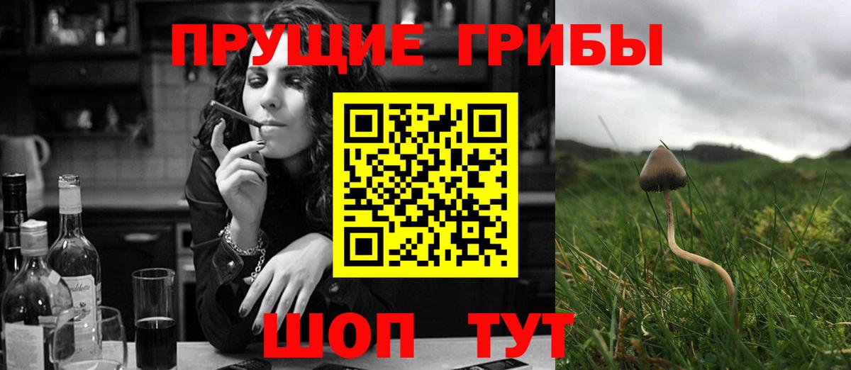 Галлюциногенные грибы MAGIC MUSHROOMS  Галлюциногенные грибы MAGIC MUSHROOMS  Вход с VPN  Переславль-Залесский 