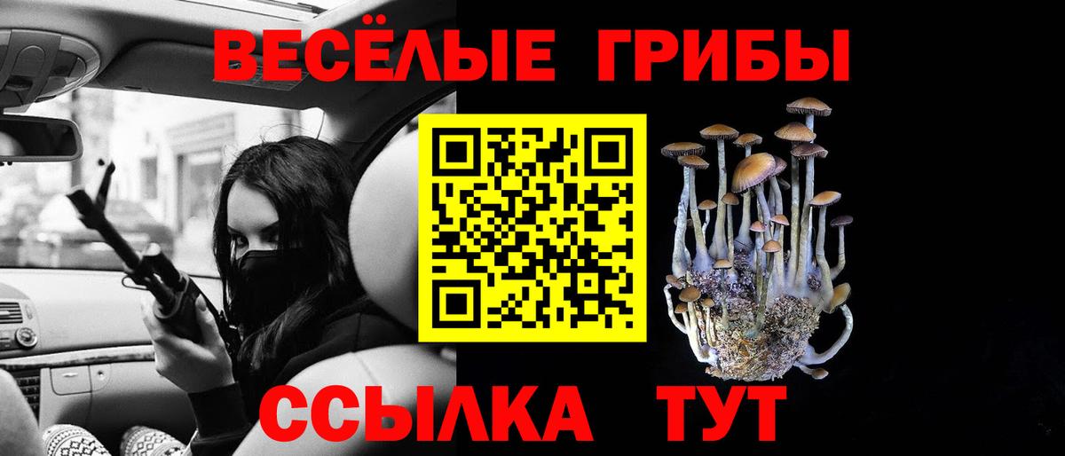Галлюциногенные грибы MAGIC MUSHROOMS Переславль-Залесский